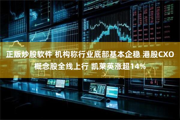 正版炒股软件 机构称行业底部基本企稳 港股CXO概念股全线上行 凯莱英涨超14%