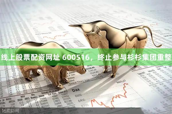 线上股票配资网址 600516，终止参与杉杉集团重整
